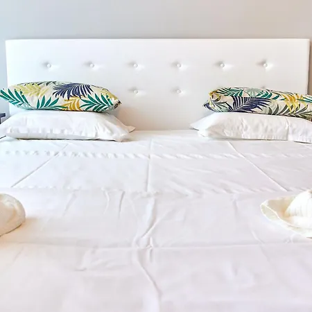 Sunny By Alz Năvodari